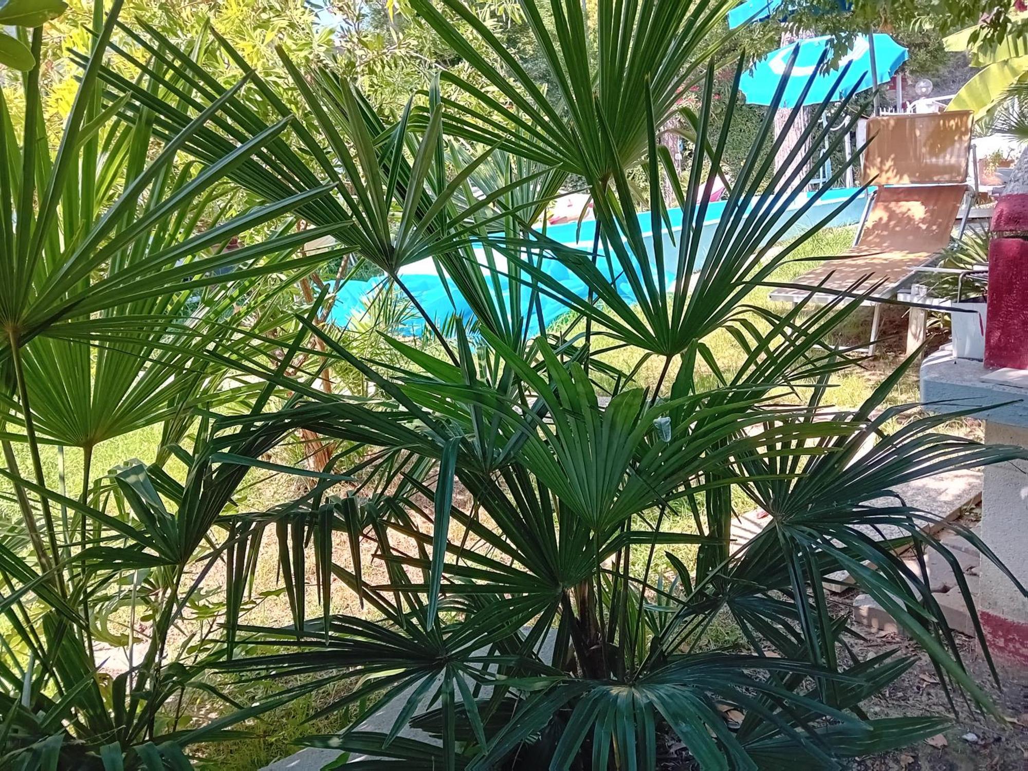 Sogno Vacanze Apartment Massa  Bagian luar foto