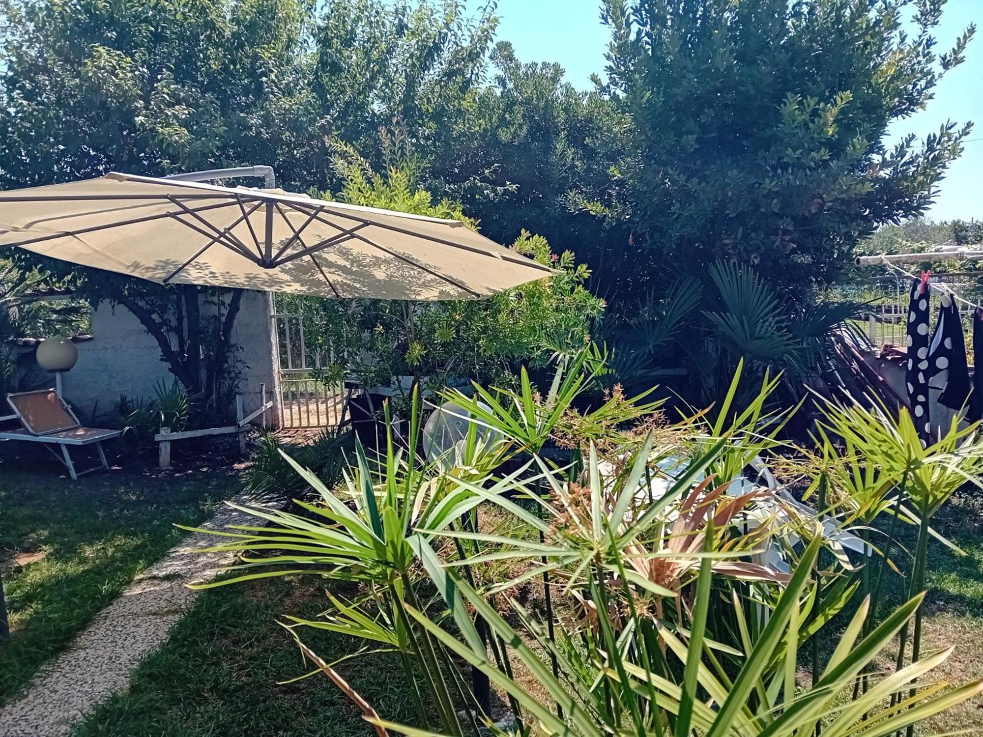 Sogno Vacanze Apartment Massa  Bagian luar foto