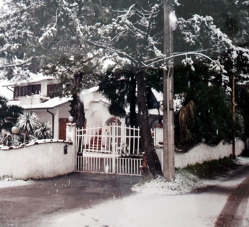 Sogno Vacanze Apartment Massa  Bagian luar foto
